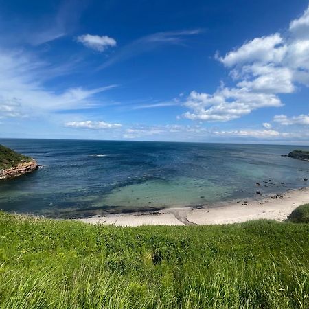 Berwick Holiday Park Haven Extérieur photo