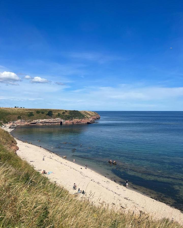 Berwick Holiday Park Haven Extérieur photo